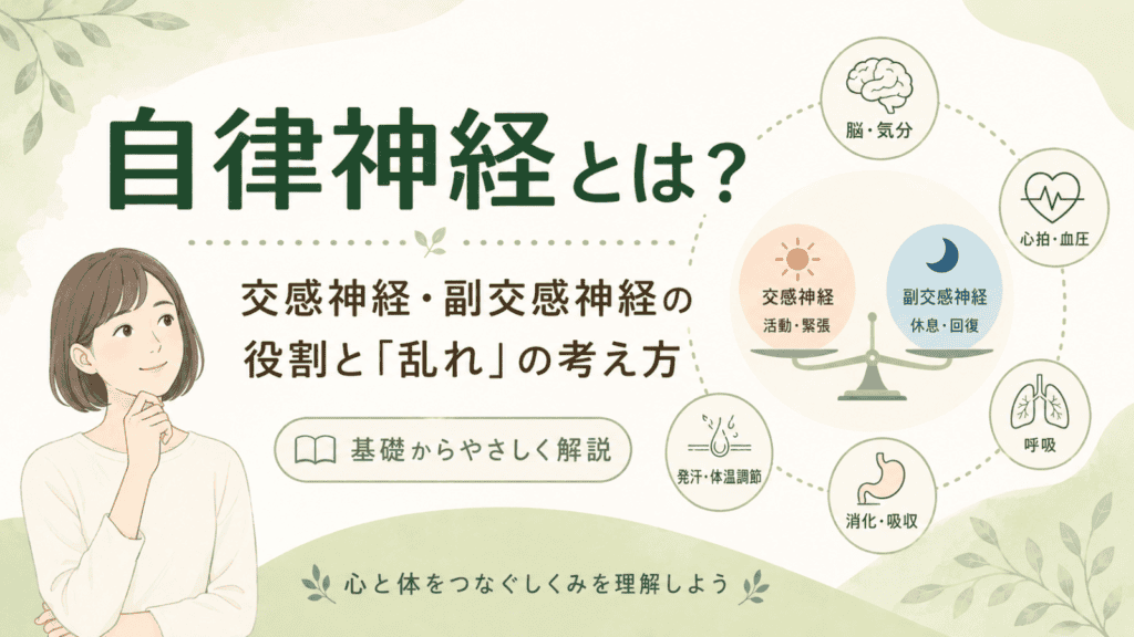 自律神経とは?交感神経・副交感神経の役割と「乱れ」の考え方