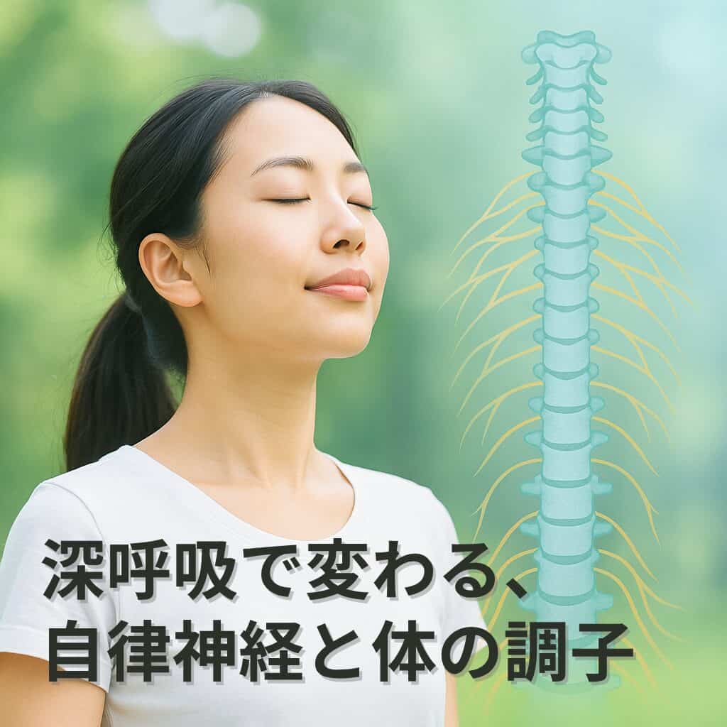 自律神経とは？交感神経・副交感神経の役割と整える方法