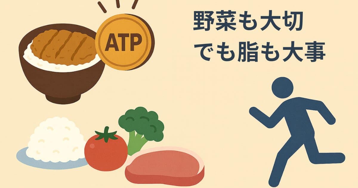 ATPを“かつ丼”で学んできました ～脂こそ大切？～